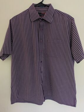 Peter England Purple and White Button Down Vertical Stripe Short-Sleeve Shirt
